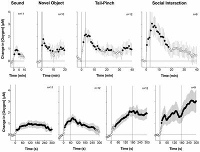 Central and Peripheral Mechanisms Underlying Physiological and Drug-Induced Fluctuations in Brain Oxygen in Freely-Moving Rats